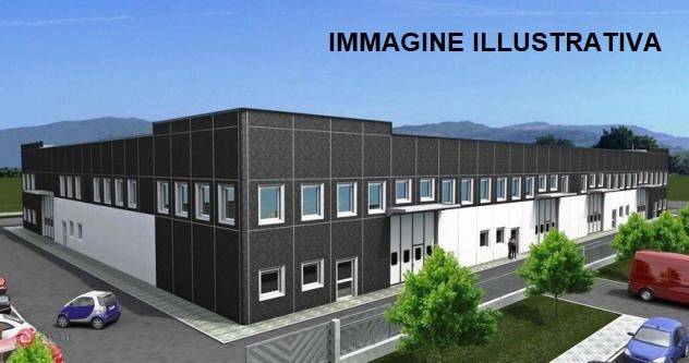 immagine annuncio 2 di 9