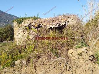 Terreno agricolo in affitto a cefalù strada ferla