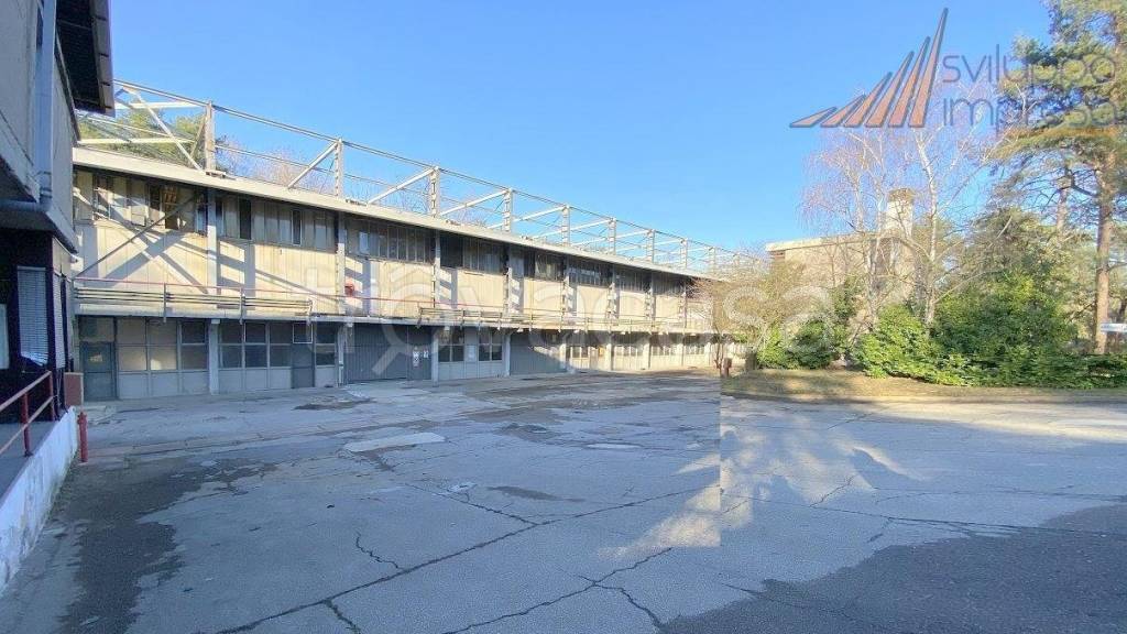 immagine annuncio 13 di 15