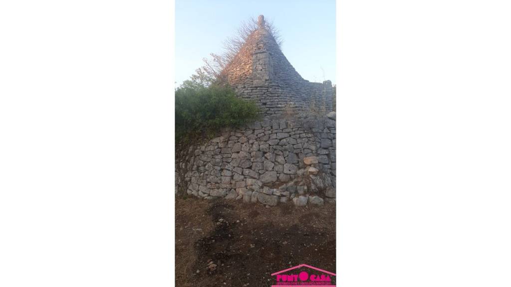 immagine annuncio 4 di 7