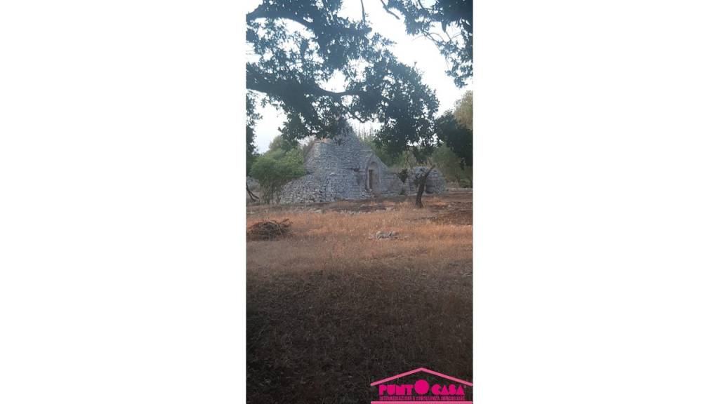 immagine annuncio 6 di 7