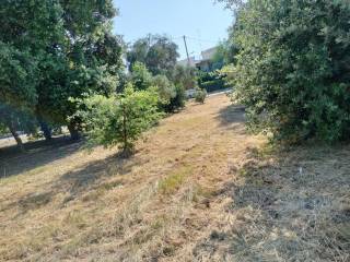 Terreno agricolo in affitto a bari strada privata cavalier francesco albergo