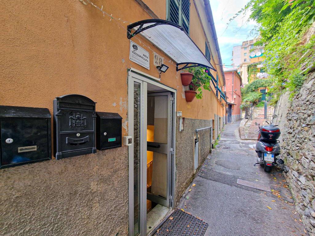 immagine annuncio 10 di 14