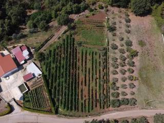 Terreno residenziale in vendita a polia traversa 3