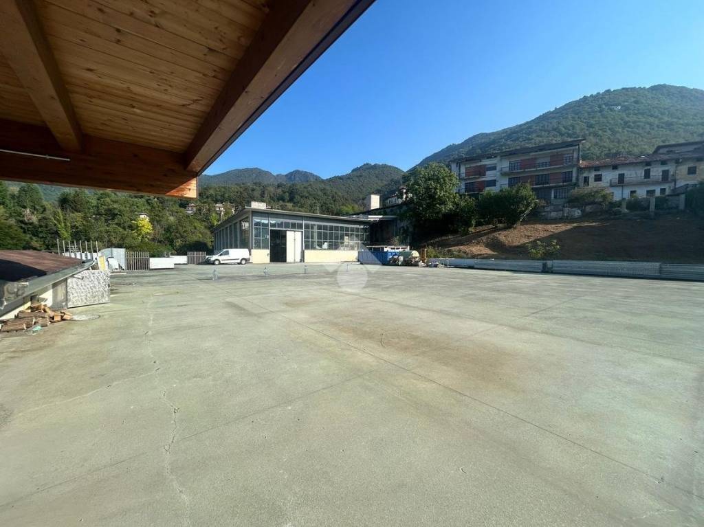 immagine annuncio 1 di 8