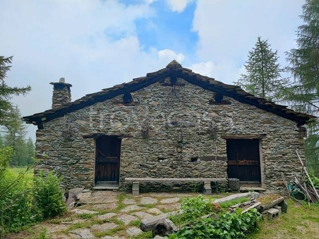 immagine annuncio 3 di 13