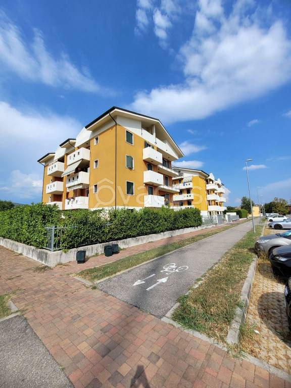 immagine annuncio 12 di 14