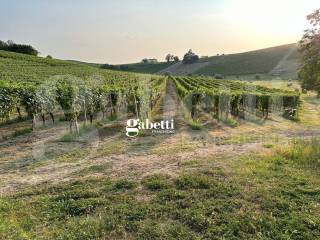 Terreno agricolo in vendita a nizza monferrato strada scrimaglio, 2