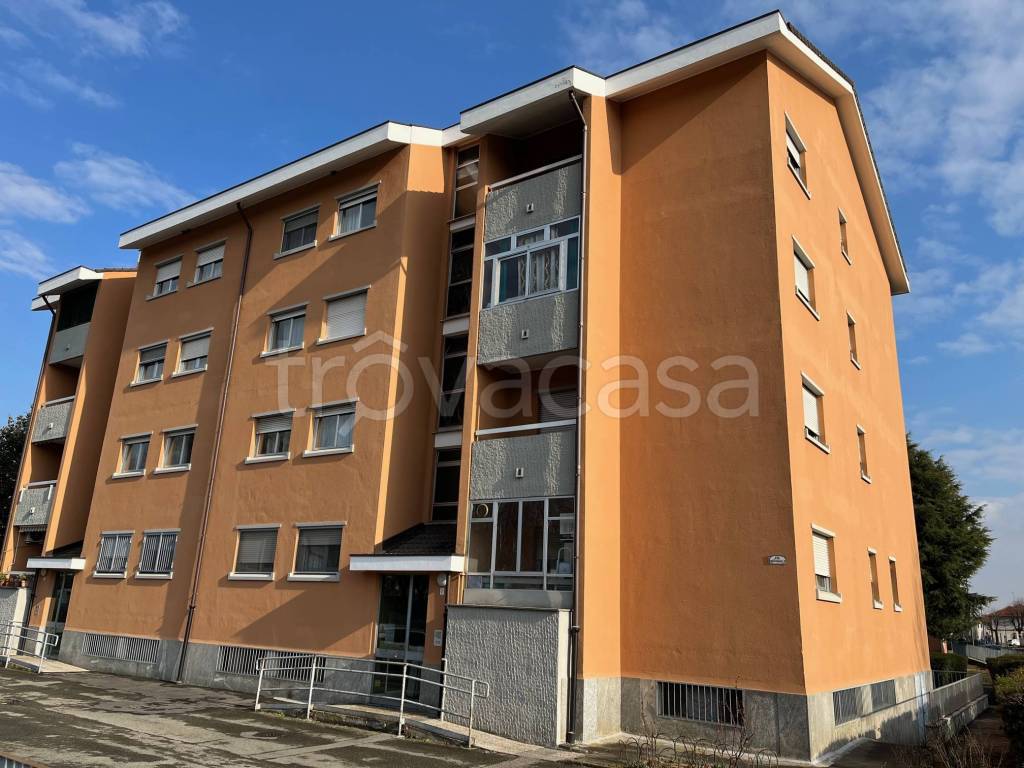 immagine annuncio 7 di 8