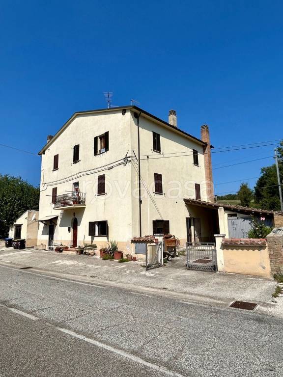 immagine annuncio 11 di 12