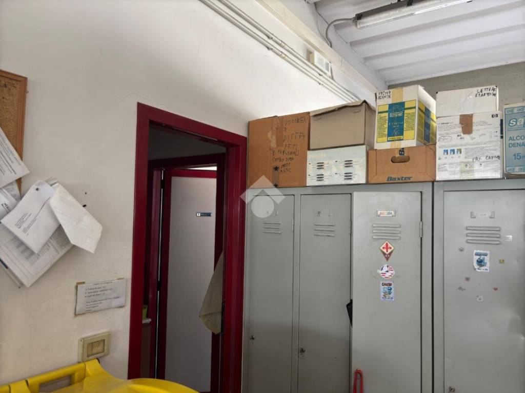 immagine annuncio 6 di 12