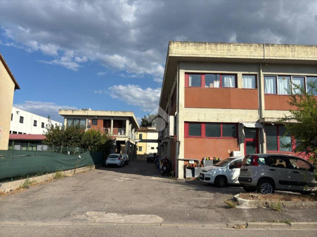 immagine annuncio 9 di 12