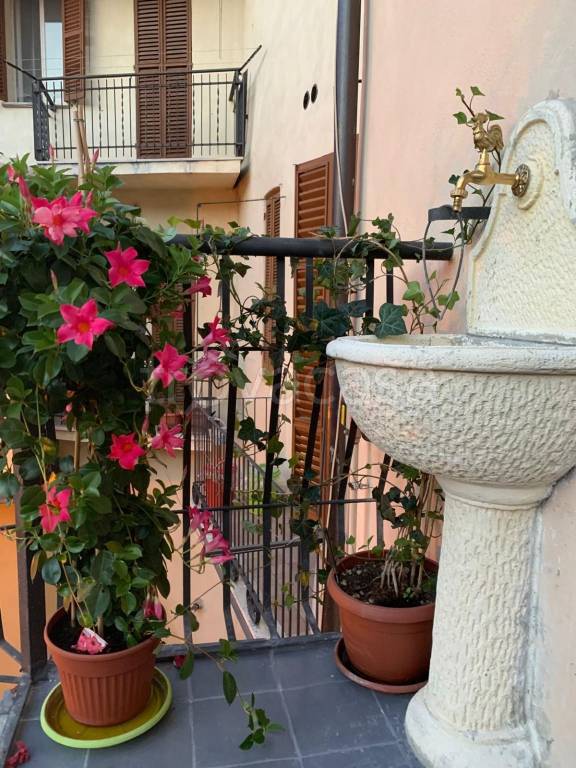immagine annuncio 5 di 14