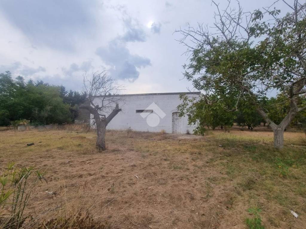 immagine annuncio 1 di 11