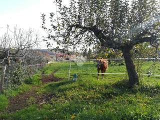 Terreno agricolo in vendita a monte compatri via valle dodici