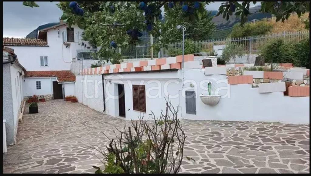 immagine annuncio 2 di 6