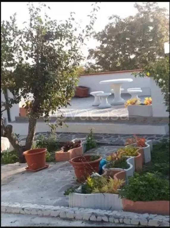 immagine annuncio 4 di 6