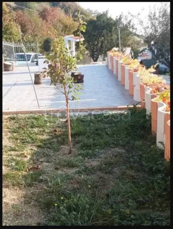 immagine annuncio 5 di 6