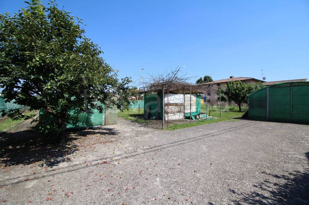 immagine annuncio 11 di 12