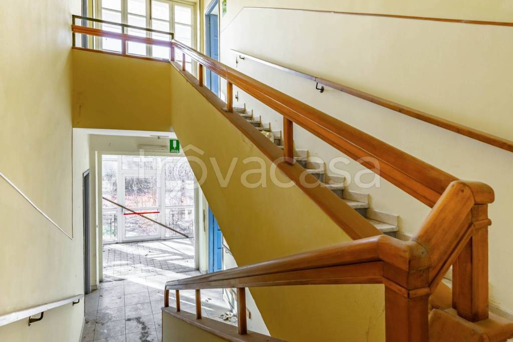 immagine annuncio 5 di 14