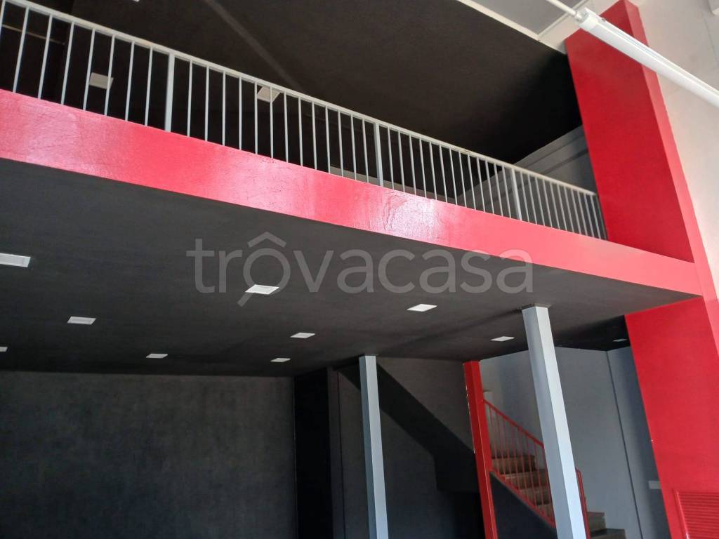 immagine annuncio 4 di 8