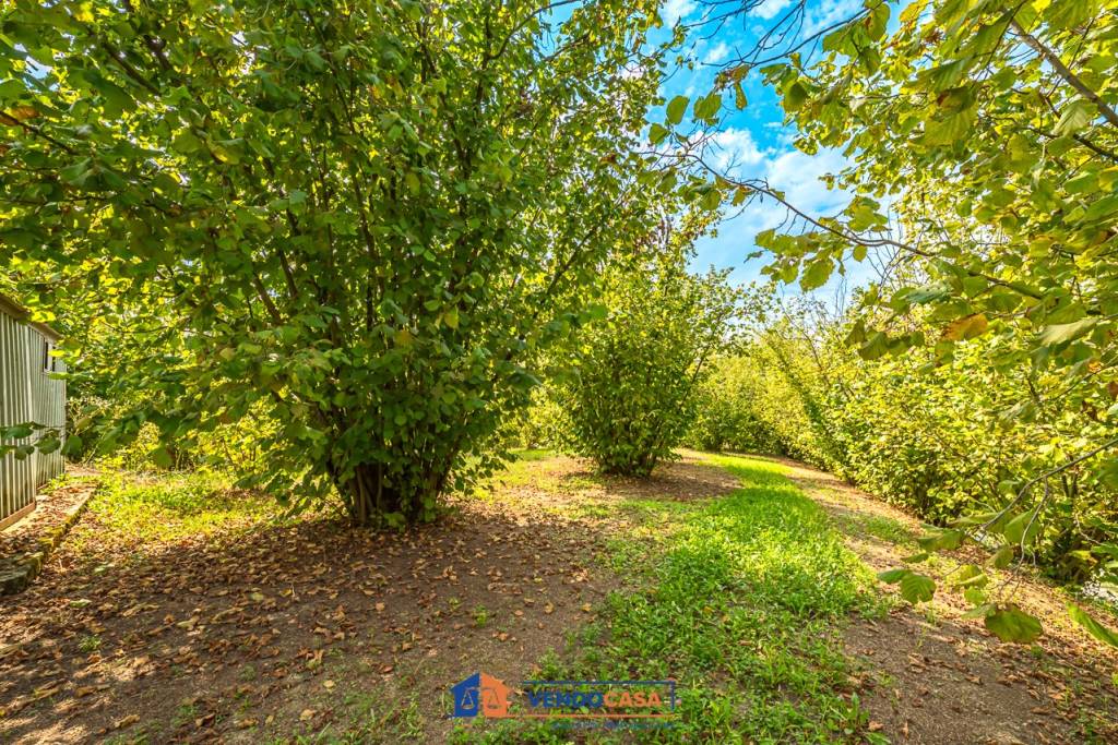 casa indipendente in vendita a La Morra in zona Rivalta