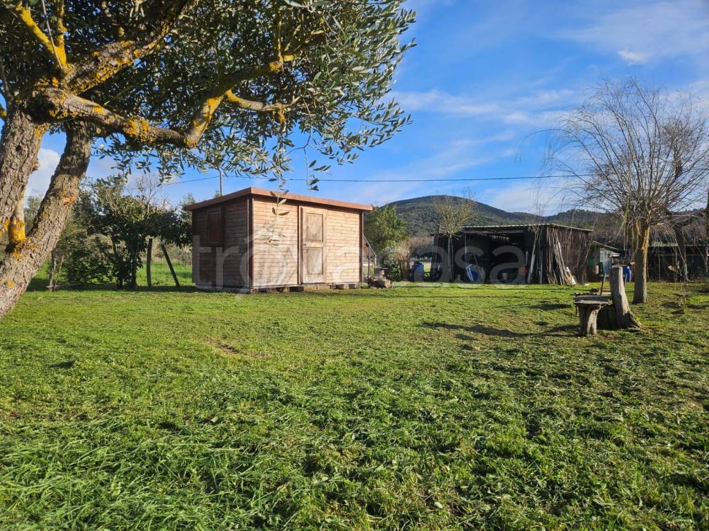 immagine annuncio 1 di 9