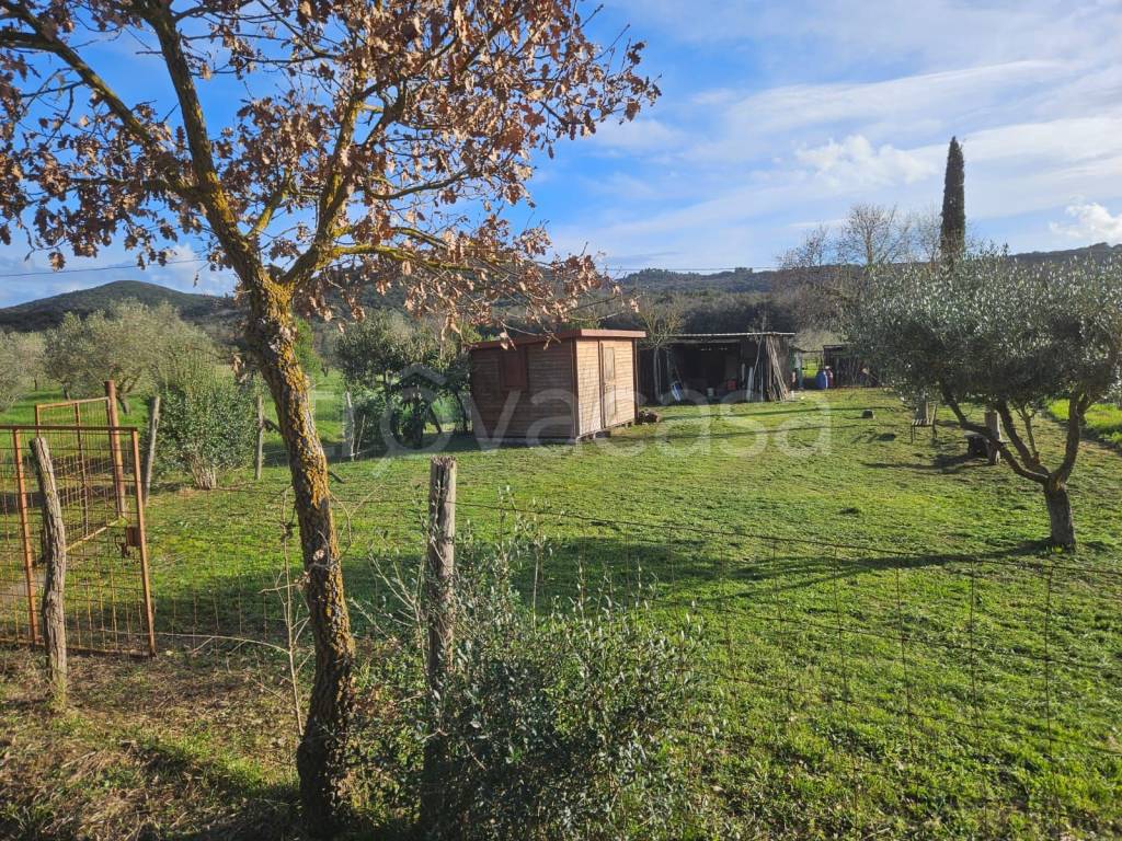 immagine annuncio 4 di 9
