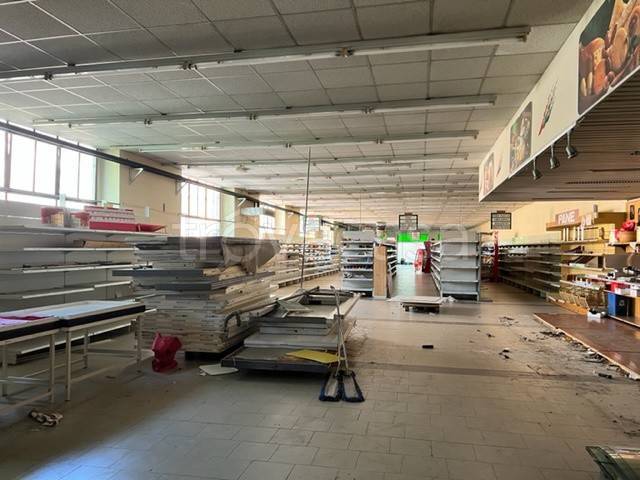 immagine annuncio 2 di 6