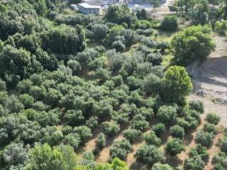 Terreno agricolo in vendita a gallicchio ss598