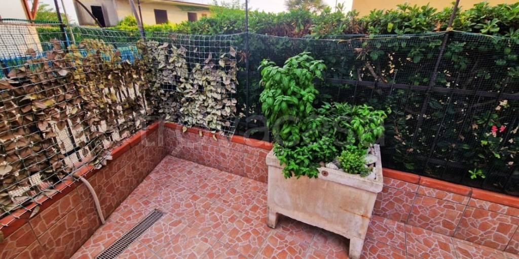 immagine annuncio 3 di 14