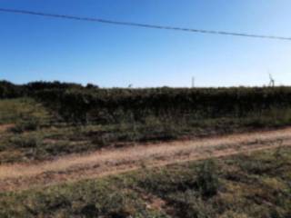 Terreno agricolo in vendita a montescaglioso sp211