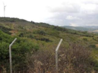 Terreno agricolo in vendita a montescaglioso sp211