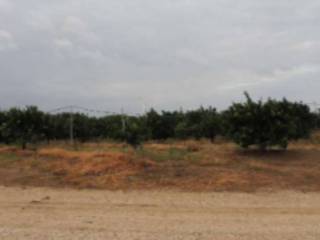 Terreno agricolo in vendita a montescaglioso sp211