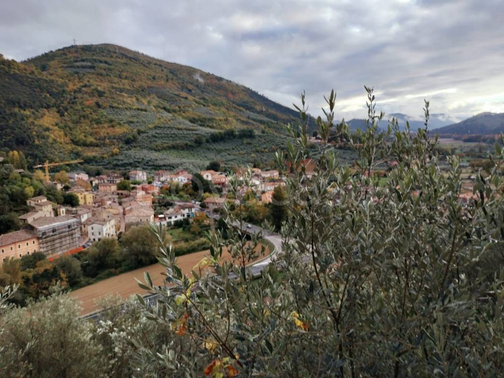 immagine annuncio 12 di 13