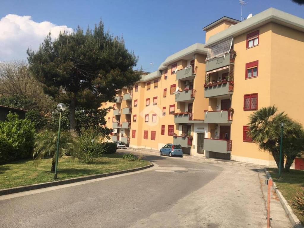 immagine annuncio 5 di 12