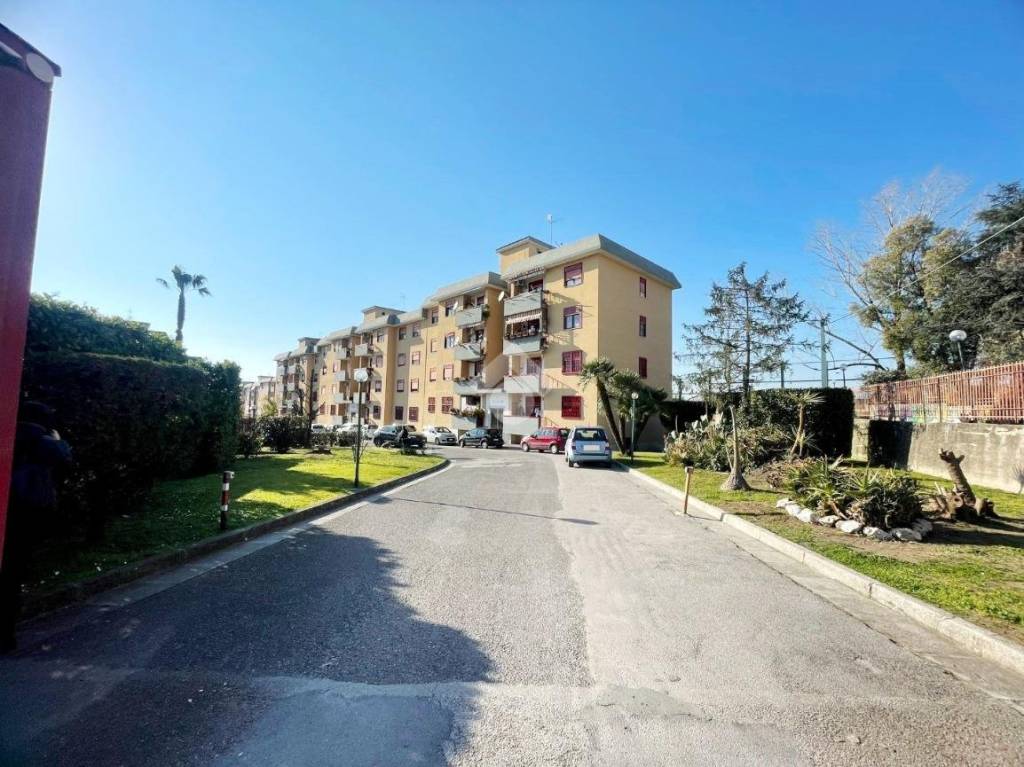 immagine annuncio 6 di 12