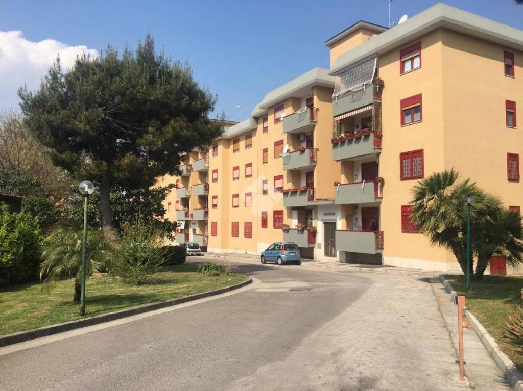 immagine annuncio 8 di 12