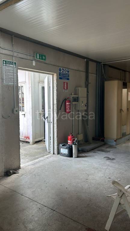 immagine annuncio 5 di 11