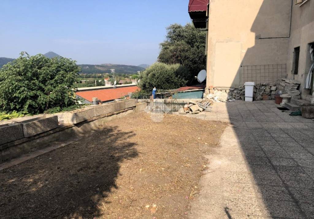 immagine annuncio 3 di 14