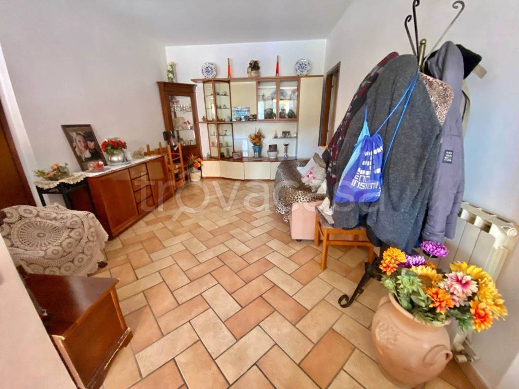 immagine annuncio 11 di 14