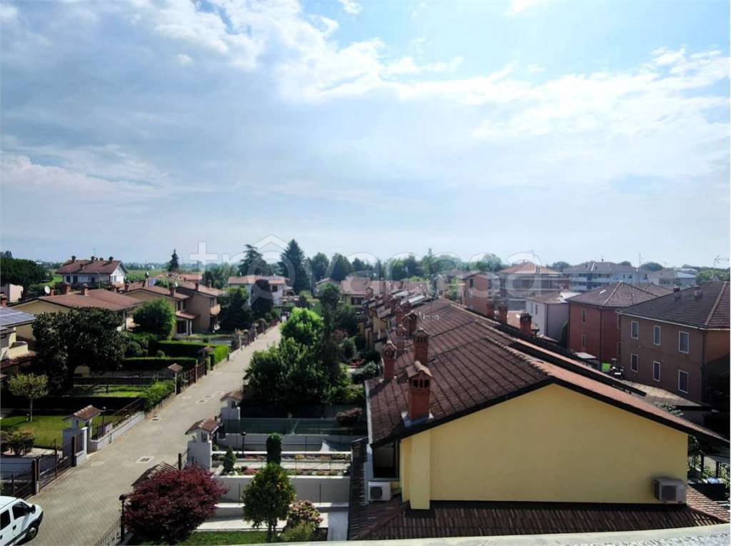 immagine annuncio 5 di 14