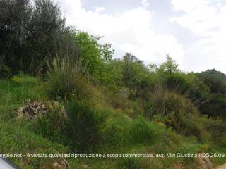 Terreno agricolo in vendita a nicosia contrada spirini, snc