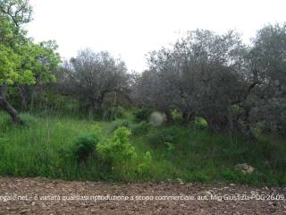 Terreno agricolo in vendita a nicosia contrada san giacomo, snc