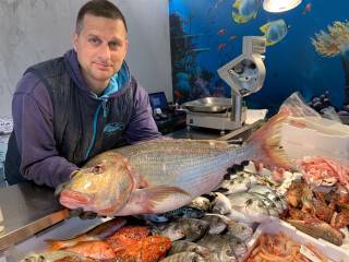 Pescheria in in vendita da privato a pisa via delle rose, 4a