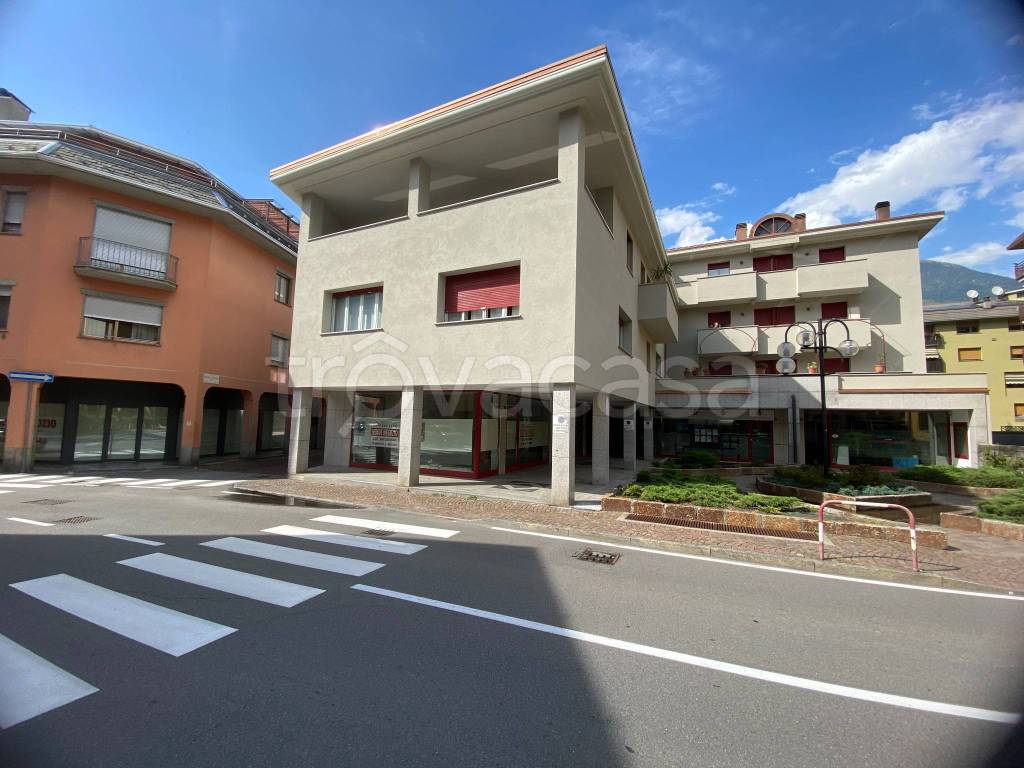 immagine annuncio 12 di 14