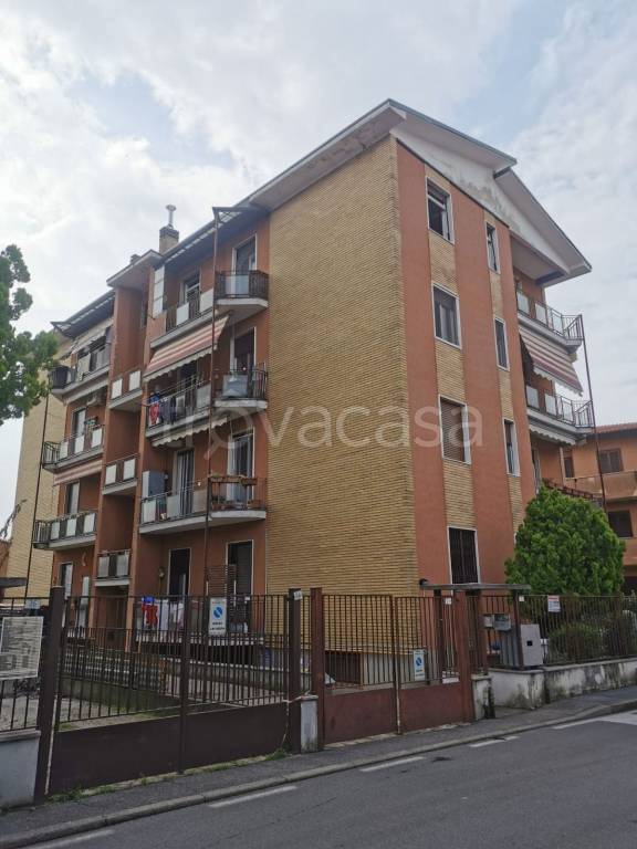 immagine annuncio 12 di 14