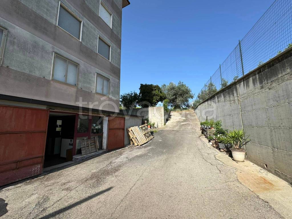 immagine annuncio 6 di 11