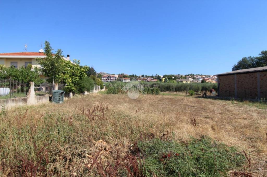 immagine annuncio 4 di 14