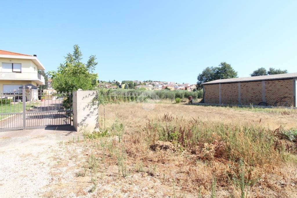 immagine annuncio 6 di 14